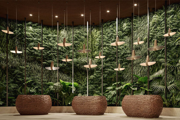 EOS Curio Collection by Hilton  16